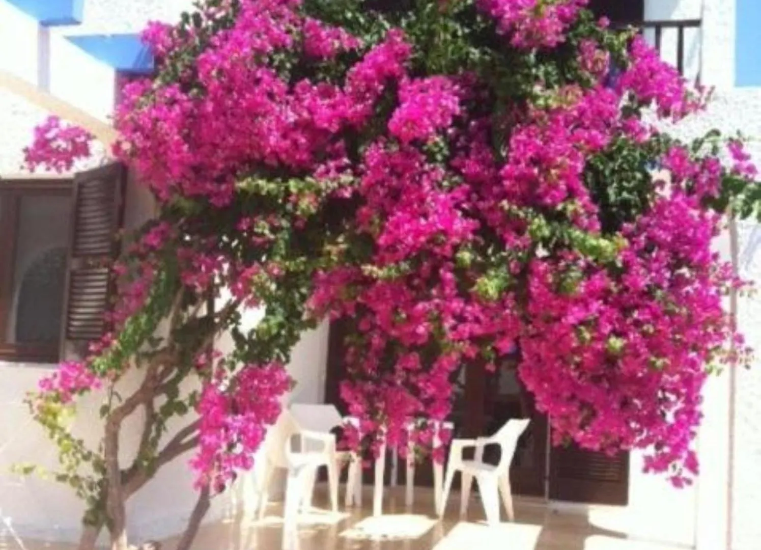 Appartamento Apartamentos Blue Beach By Escape Home Cala'n Forcat